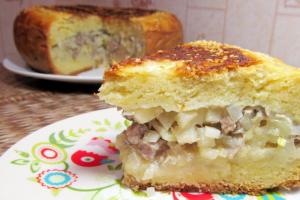 Пироги с мясом в духовке — простые рецепты приготовления вкусных домашних пирогов